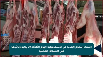 أسعار اللحوم البلدية في الإسماعيلية اليوم الثلاثاء 29 يوليو وتأثيرها على الأسواق المحلية